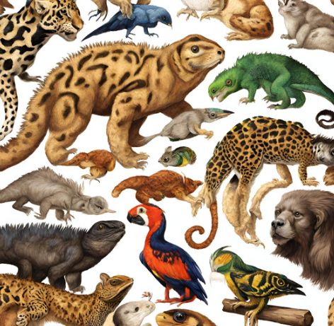 Los cuidados de las mascotas exóticas son delicados